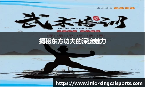 揭秘东方功夫的深邃魅力