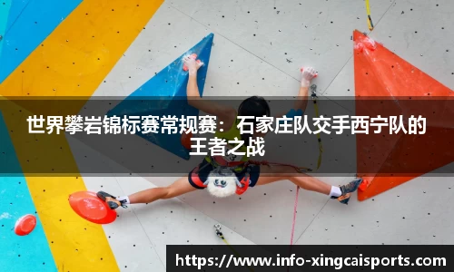 世界攀岩锦标赛常规赛：石家庄队交手西宁队的王者之战