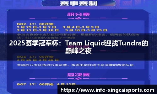 2025赛季冠军杯：Team Liquid迎战Tundra的巅峰之夜